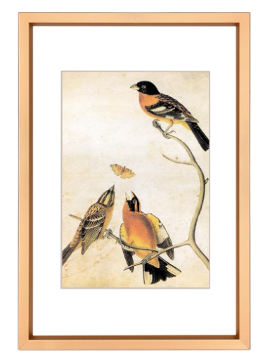 Mini Minis Starter Frame - Gold - 4 x 6